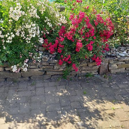 Apartament Chez Le Vigneron Westhalten Zewnętrze zdjęcie