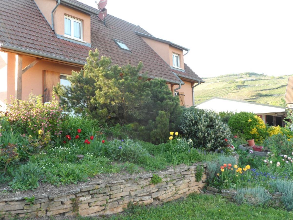 Apartament Chez Le Vigneron Westhalten Zewnętrze zdjęcie