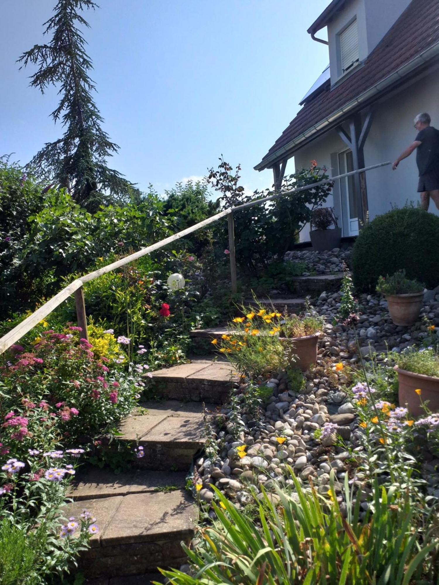 Apartament Chez Le Vigneron Westhalten Zewnętrze zdjęcie