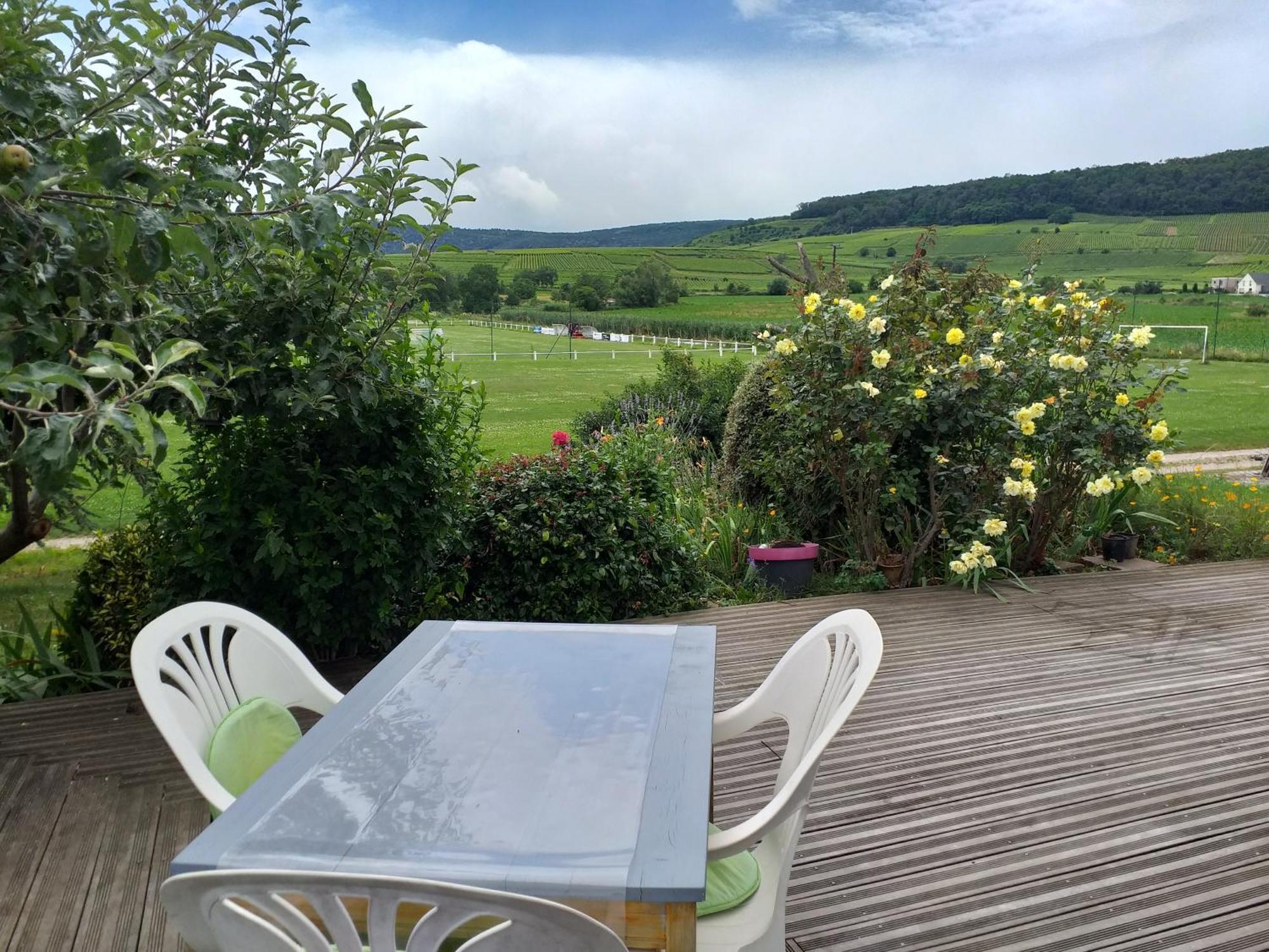 Apartament Chez Le Vigneron Westhalten Zewnętrze zdjęcie